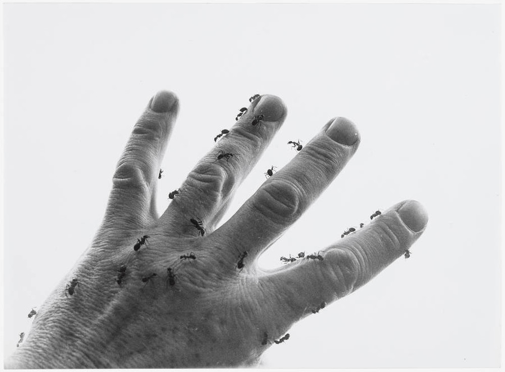 Contact