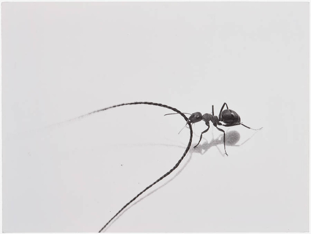 Contact