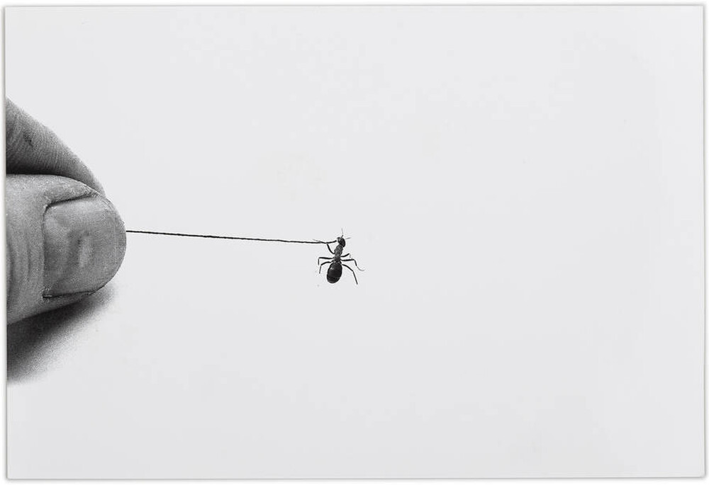 Contact