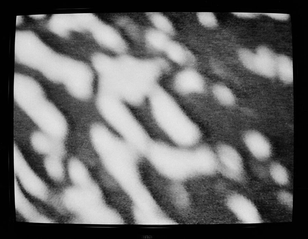Momentary Object