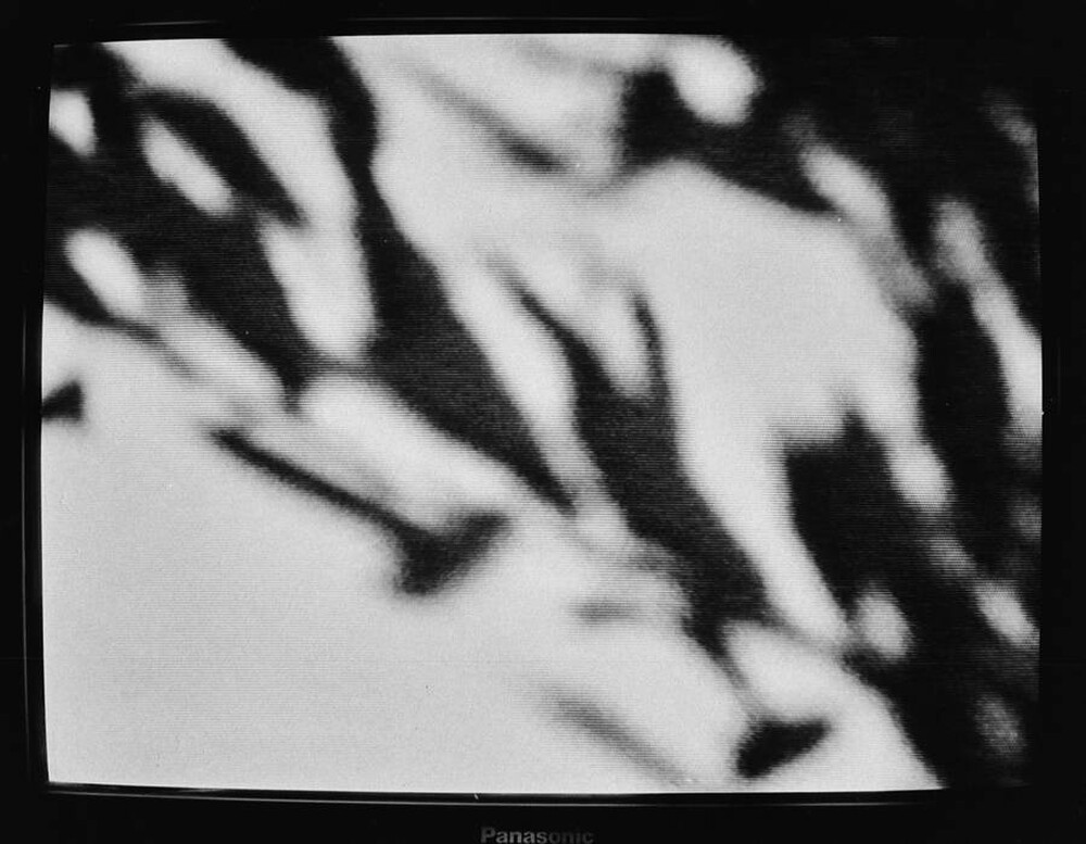 Momentary Object