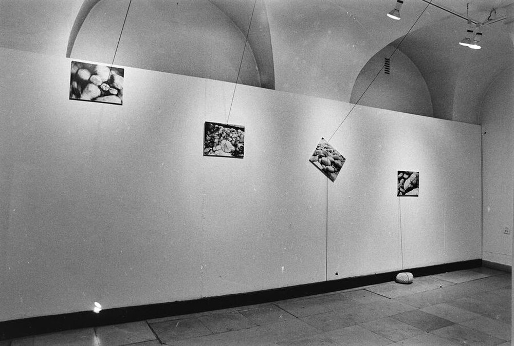 Zygmunt Rytka, "Dynamic Objects", Mała Gallery, Warsaw, 2002