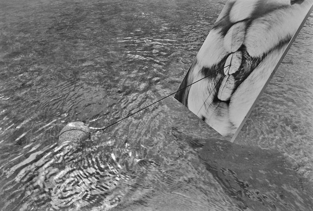Dynamic Object - The Świder River