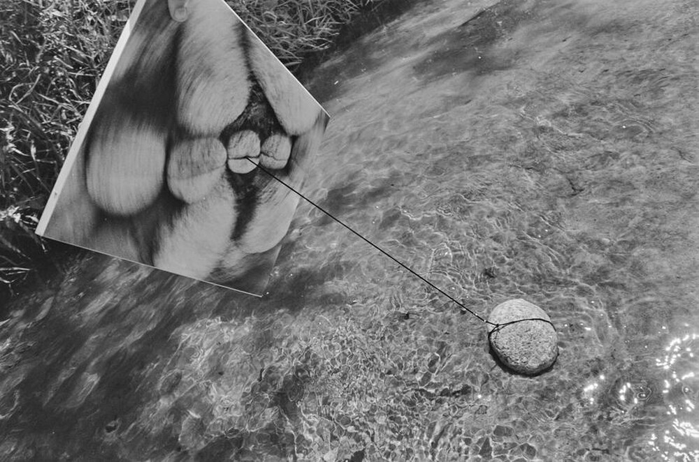 Dynamic Object - The Świder River
