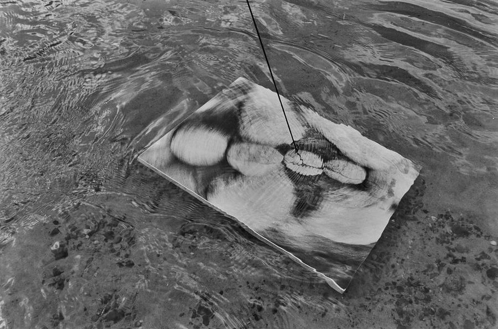 Dynamic Object - The Świder River