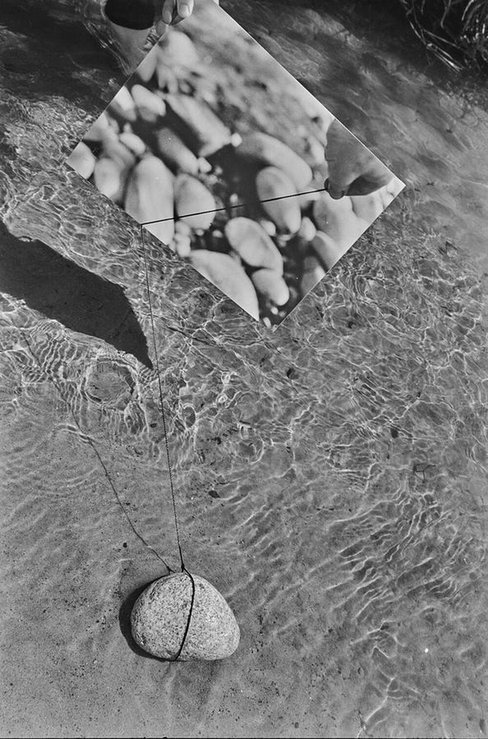 Dynamic Object - The Świder River