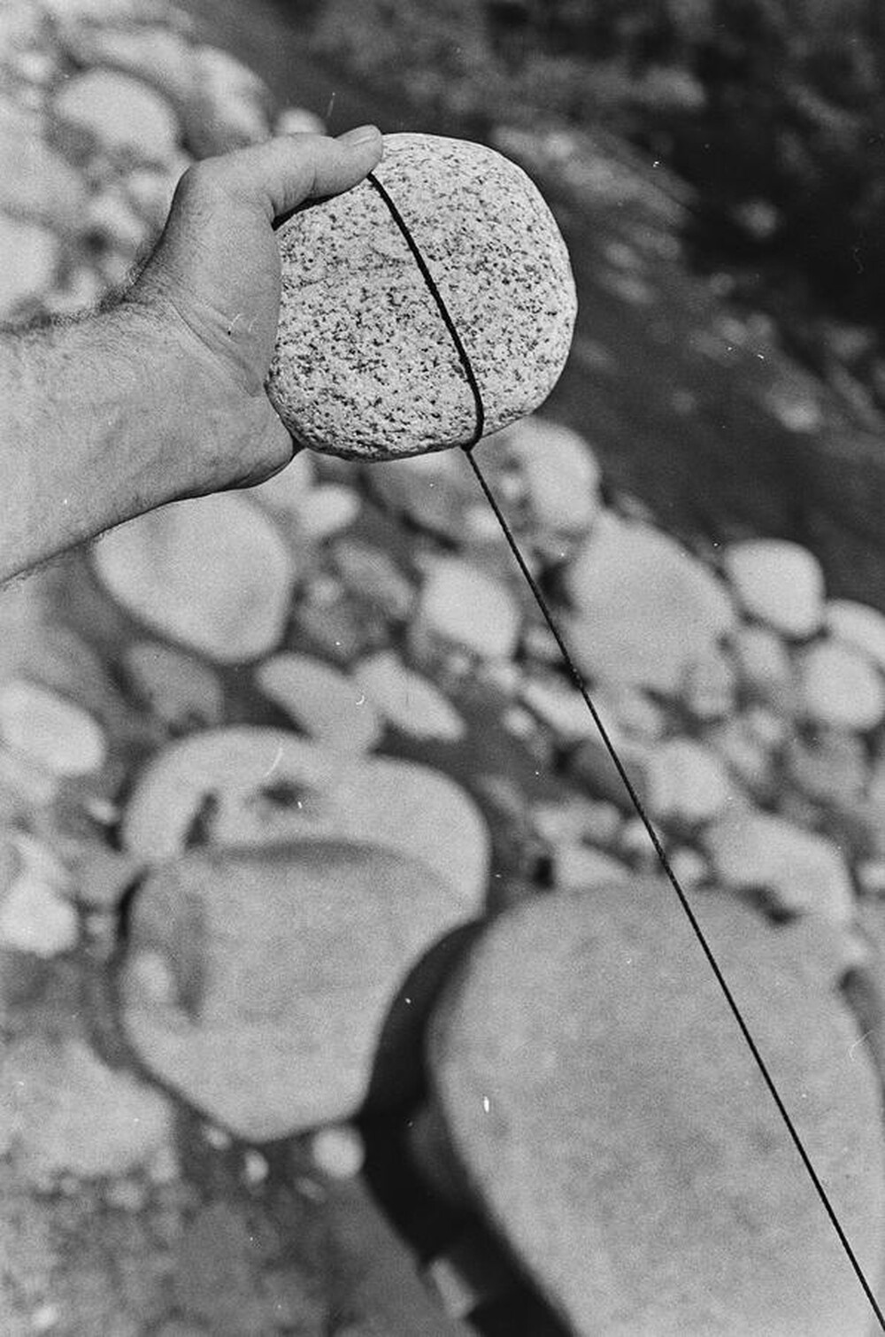 Dynamic Object - The Białka River