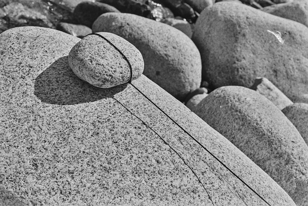 Dynamic Object - The Białka River