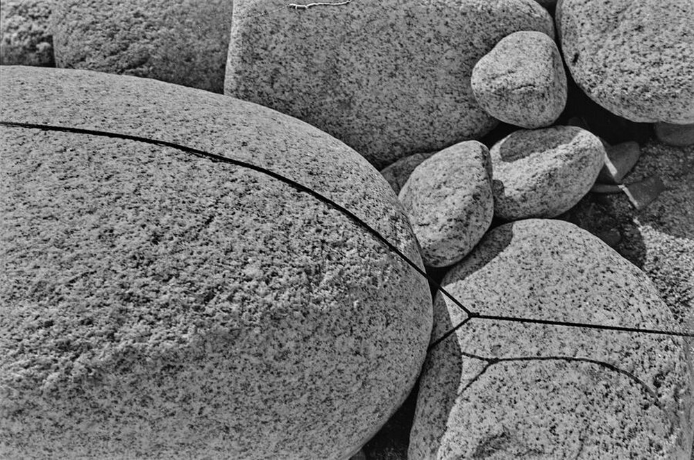 Dynamic Object - The Białka River