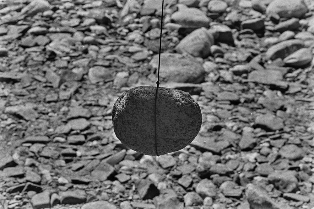 Dynamic Object - The Białka River