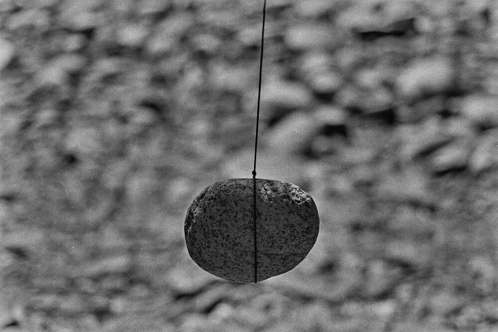 Dynamic Object - The Białka River