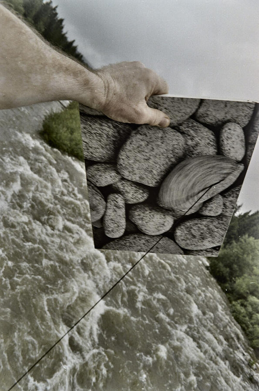Dynamic Object - The Białka River