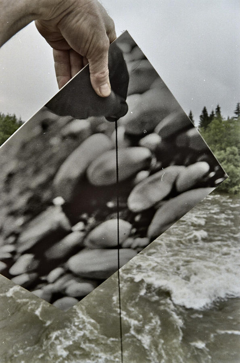 Dynamic Object - The Białka River