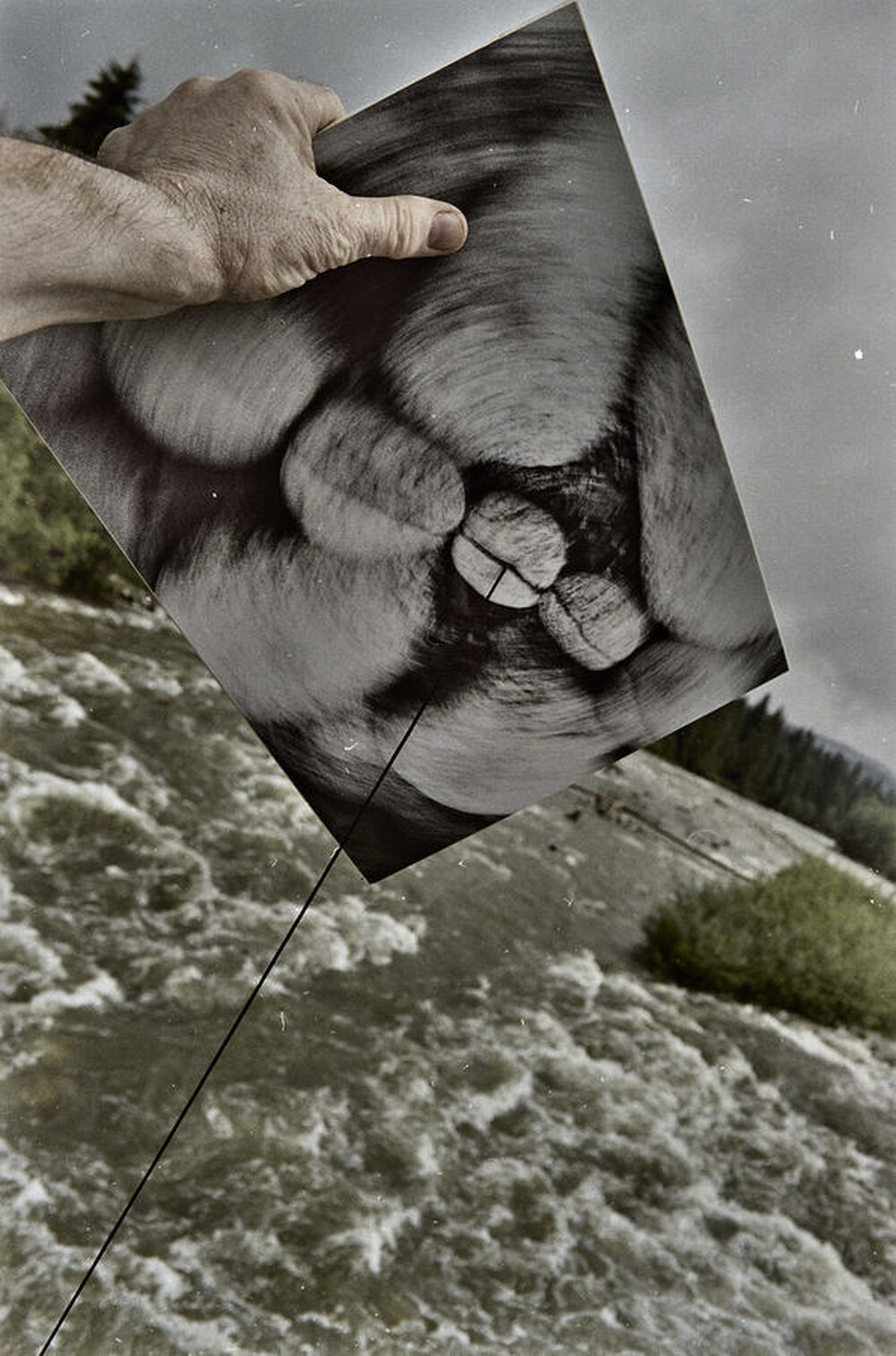 Dynamic Object - The Białka River