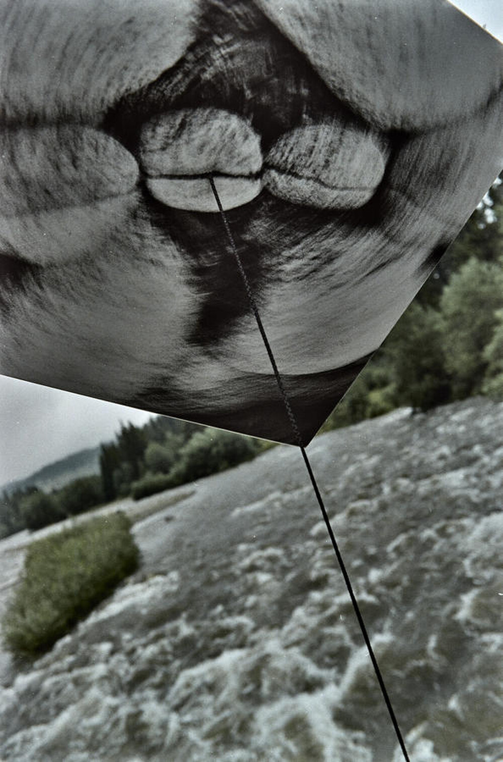 Dynamic Object - The Białka River