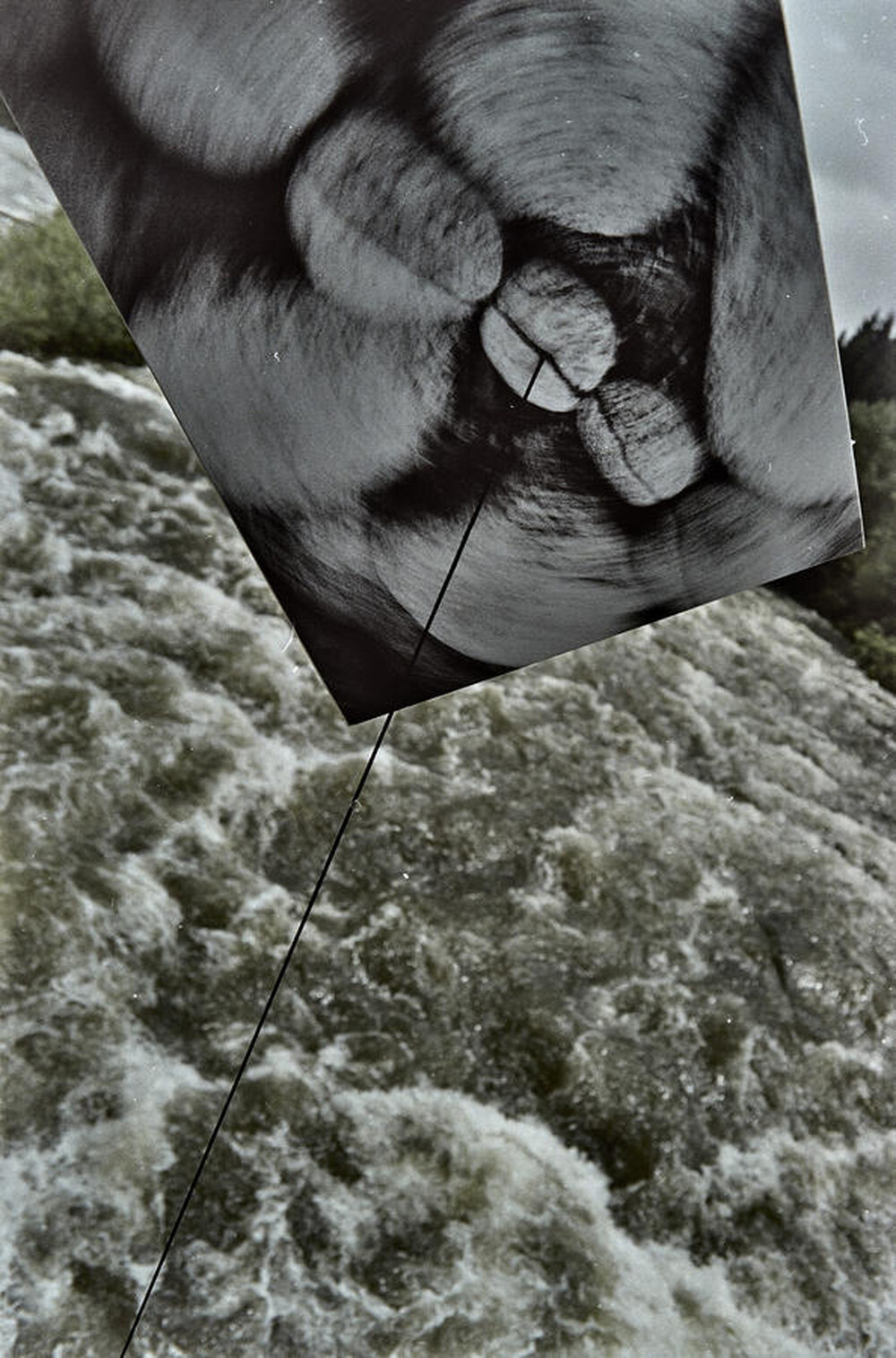 Dynamic Object - The Białka River