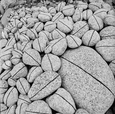 Continual Infinity