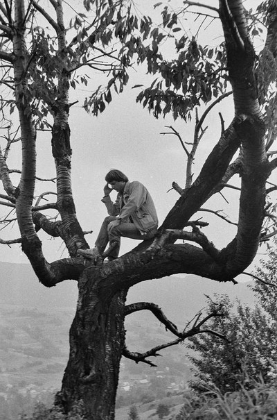 Beside the Art