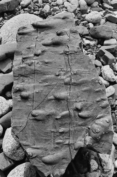 Momentary Objects. Scheme of Disintegration