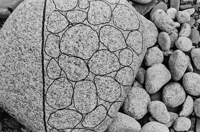 Momentary Objects. Scheme of Disintegration