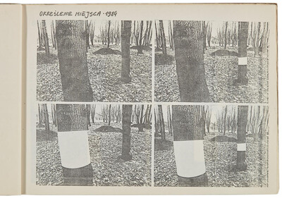 Portfolio of Zygmunt Rytka