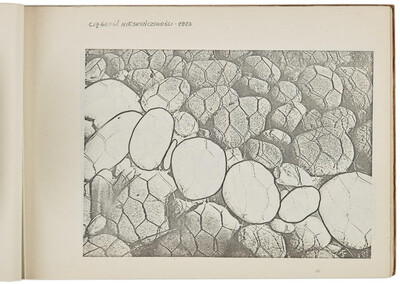 Portfolio of Zygmunt Rytka