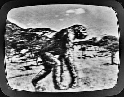 Photovision