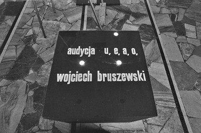 Piotr Bernacki, Wojciech Bruszewski, Jan Wojciechowski, "Conceptions", Współczesna Gallery, 1975