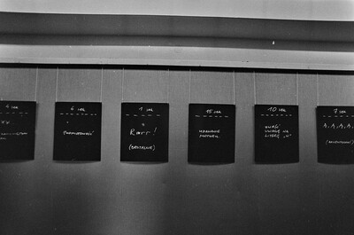 Piotr Bernacki, Wojciech Bruszewski, Jan Wojciechowski, "Conceptions", Współczesna Gallery, 1975