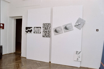 Zygmunt Rytka, "Continuity of Infinity", Museum of the History of Photography, Krakow, 2002