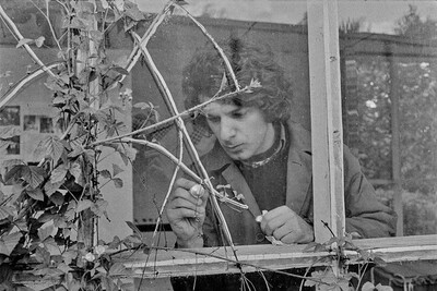Kinolaboratorium, EL Gallery, Elbląg, 1973
