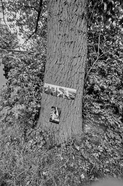 Kinolaboratorium, EL Gallery, Elbląg, 1973