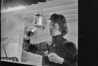 Krzysztof Zarębski, performance, Sigma Gallery, Warsaw, 1973