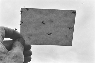 Contact