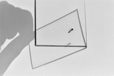 Contact