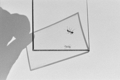 Contact