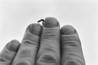 Contact