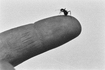 Contact