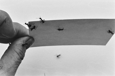 Contact