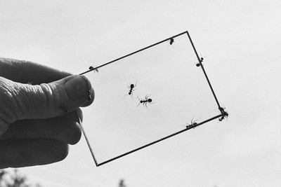 Contact
