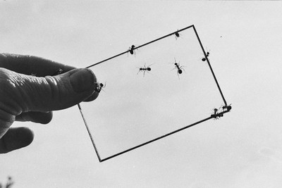 Contact