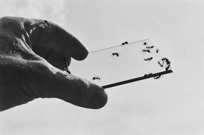 Contact