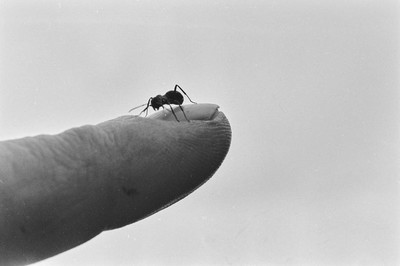 Contact