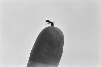Contact
