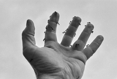 Contact