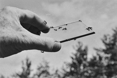 Contact