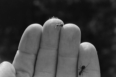 Contact