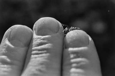 Contact