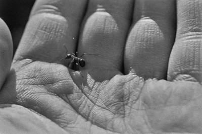 Contact