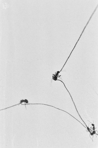 Contact